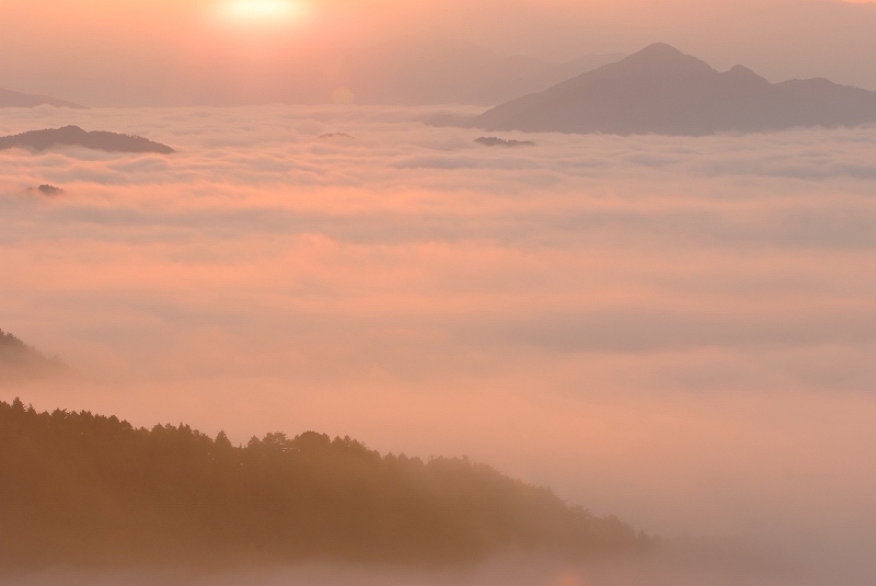 雲海　『望遠編　２』_f0067667_20525516.jpg