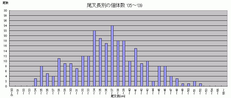 a0096669_0245541.gif