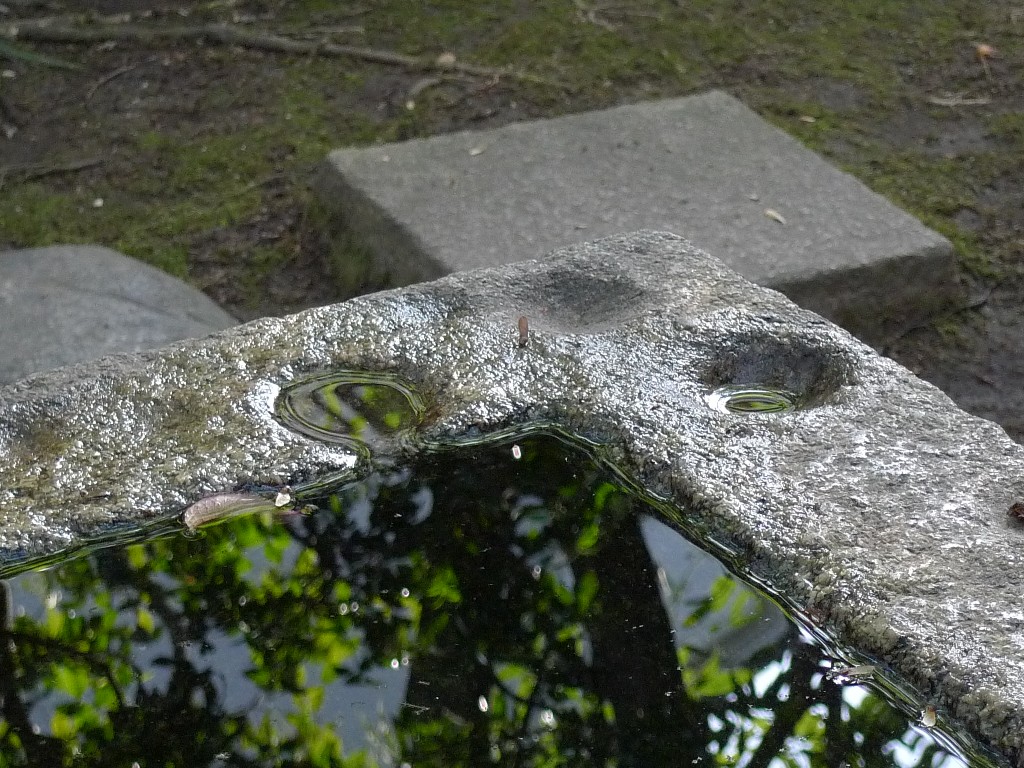 f0142070_2312134.jpg