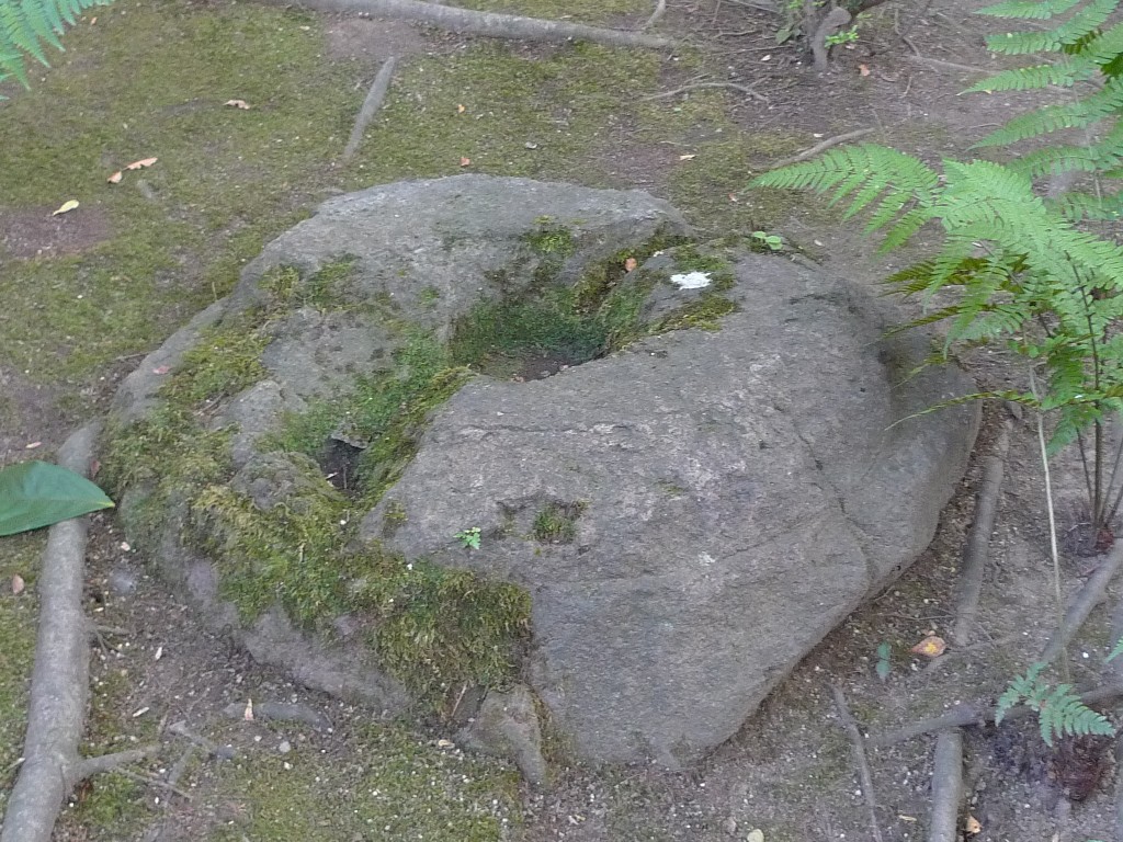f0142070_2352981.jpg