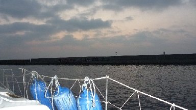 e0183673_52722.jpg