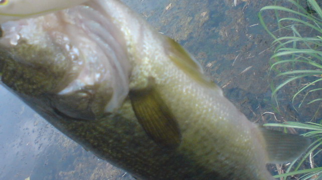 パーツ_a0040876_23411113.jpg