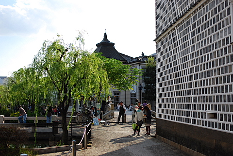 f0080385_22562749.jpg