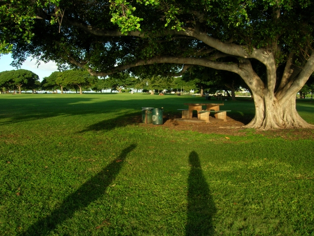 Ala Moana Park_f0189086_1993423.jpg