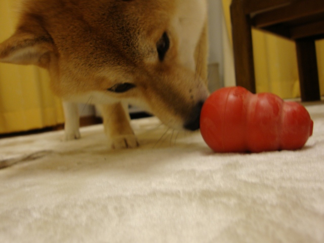 この顔、誰かに似ている!_a0126590_22371670.jpg