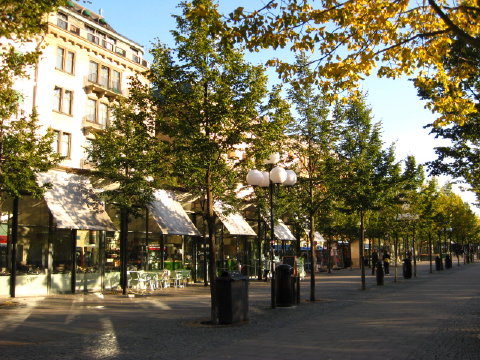 c0180096_2215550.jpg