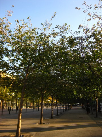 c0180096_223167.jpg