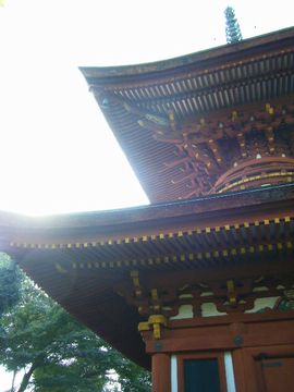 f0120102_1556417.jpg
