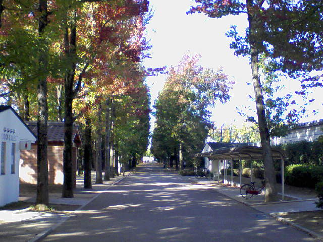 f0197703_1145484.jpg