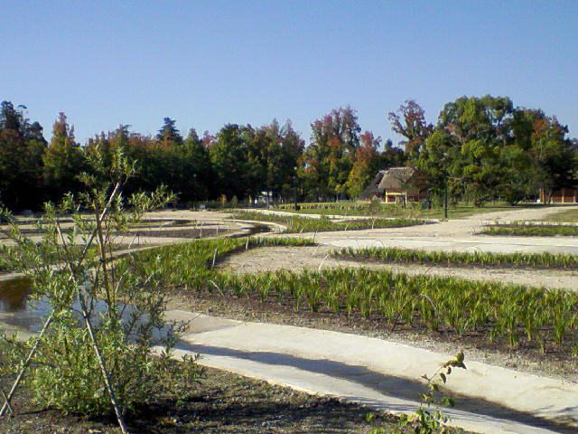 f0197703_1149728.jpg