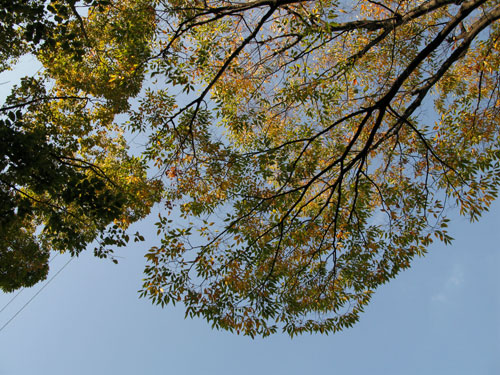 c0011204_16364456.jpg