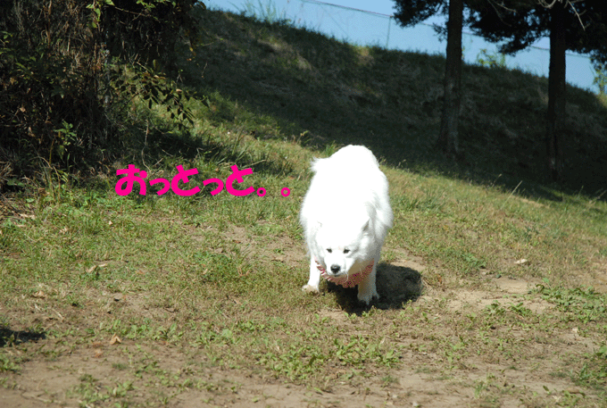 e0018604_17101973.gif