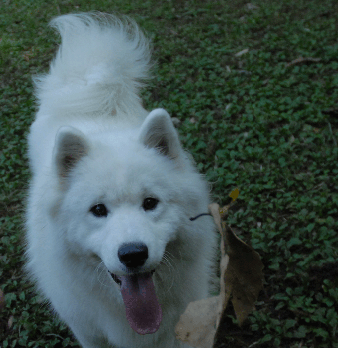 e0018604_17153925.gif