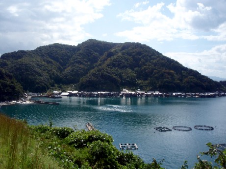 f0043911_1655672.jpg