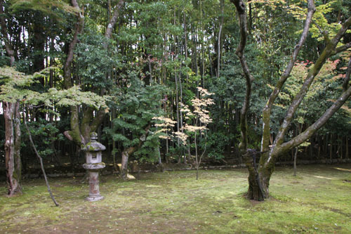 大徳寺 高桐院_e0048413_22364083.jpg