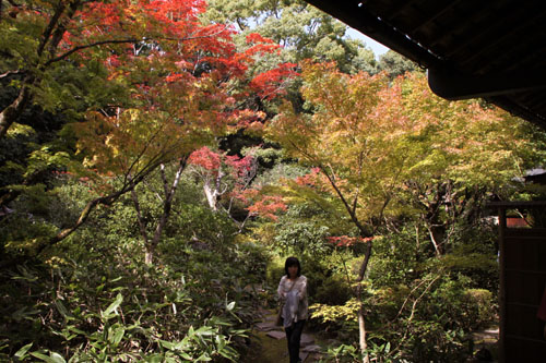大徳寺 高桐院_e0048413_22365535.jpg