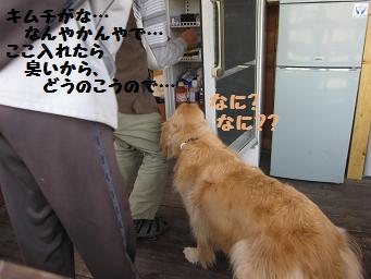10月21日 たくさんのワンコたち_e0136815_23384399.jpg