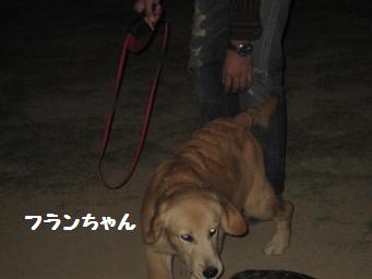 10月21日 たくさんのワンコたち_e0136815_23414568.jpg