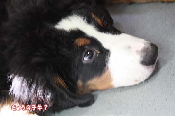 f0203423_16395258.jpg