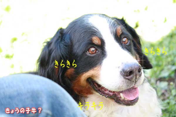 f0203423_1721616.jpg