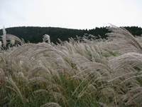 c0190824_8281761.jpg