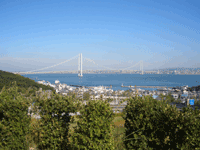 b0049029_205023.gif