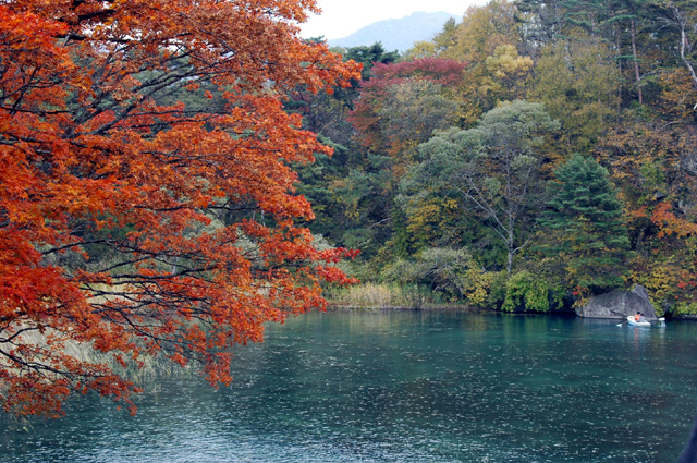 c0192930_93814.jpg
