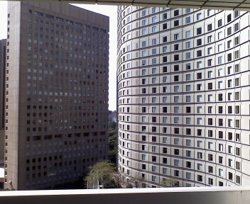 愛しき金玉　入退院編_a0019032_11492657.jpg