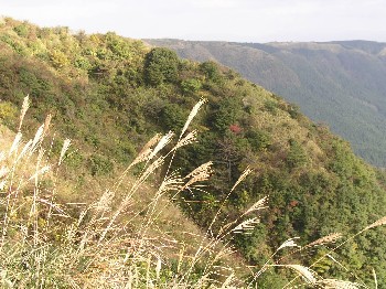 d0009738_6541652.jpg
