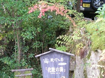d0009738_721238.jpg