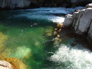 c0206739_22291.jpg