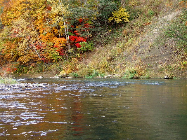d0075843_2034656.jpg