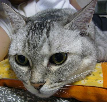 元気です_f0002743_0131522.jpg