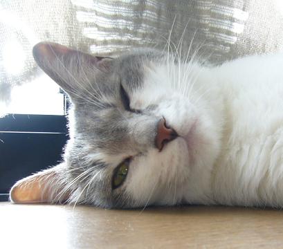 元気です_f0002743_0133988.jpg
