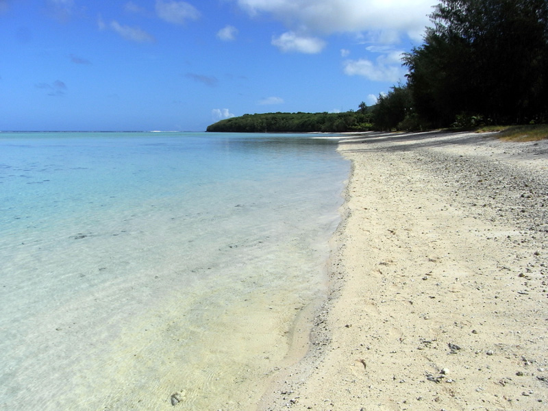 f0184244_8225024.jpg