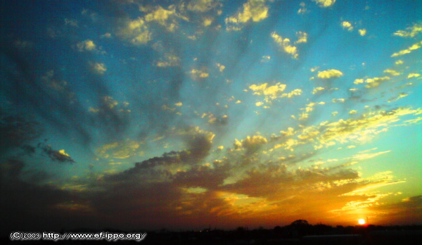 秋の夕日に照る山もみじ 環境応援団いっぽ Nao Sblog Foot Prints 秋の夕日に照る山もみじ 環境応援団いっぽ Nao Sblog Foot Prints