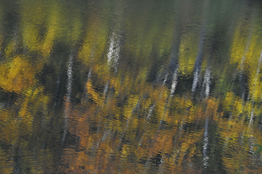c0093046_6531746.gif