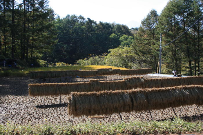 ハイランドツーリング　その4　麦草峠～信濃川上_b0168647_23282183.jpg