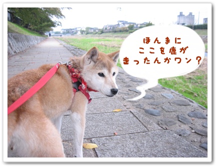 四捨五入したらハタチ?!_c0049950_23493624.jpg