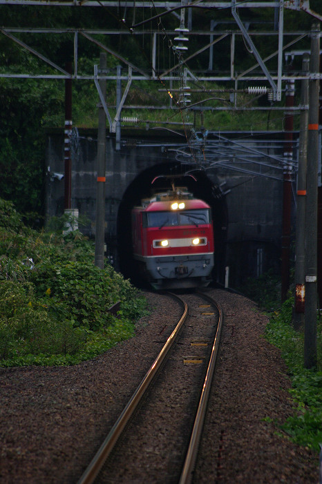 f0152550_2263185.jpg