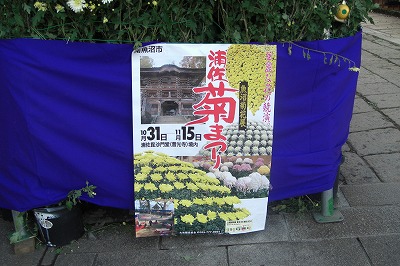 毘沙門様の菊祭り_a0084753_1621233.jpg