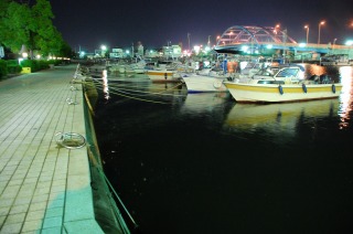 c0047856_843424.jpg