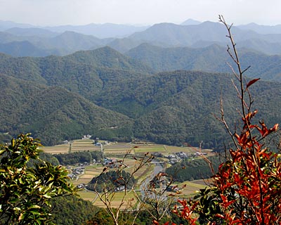 e0035757_1972819.jpg