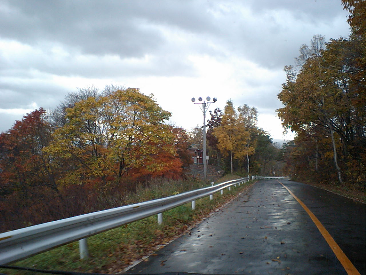 d0098665_16473275.jpg