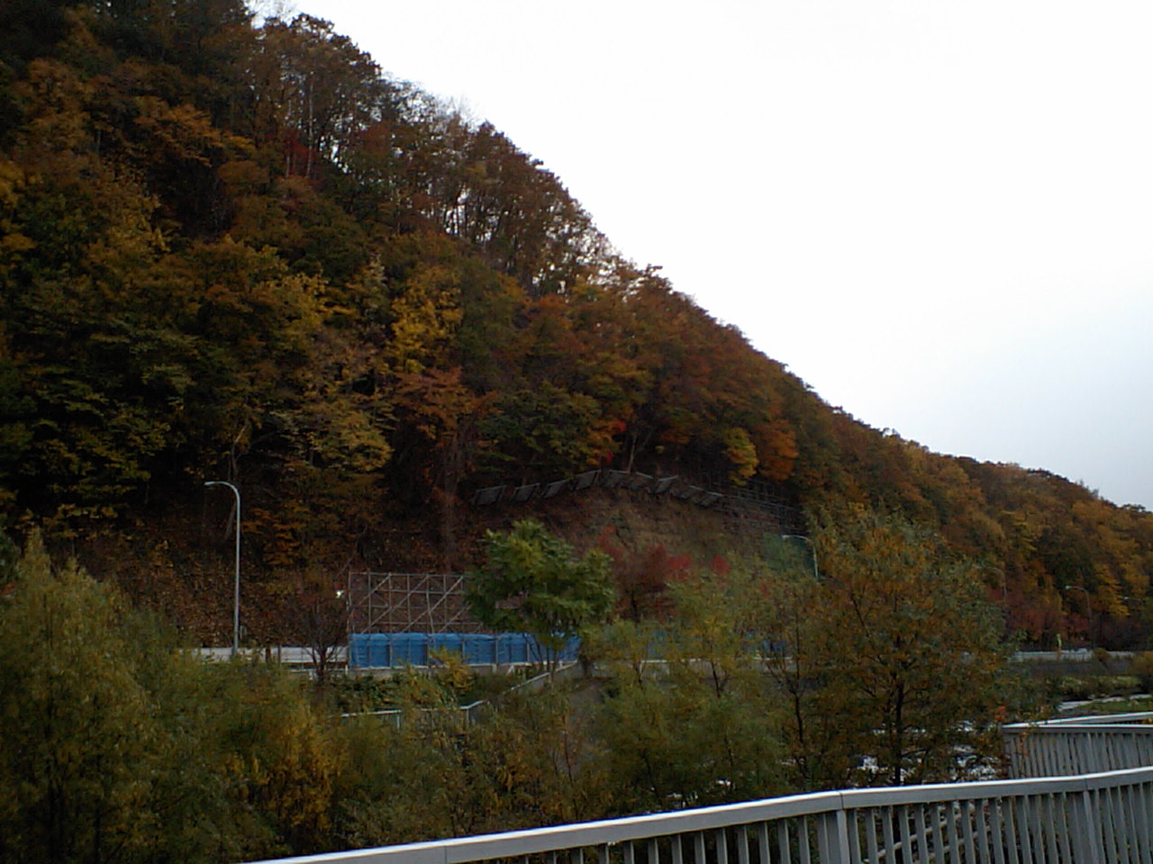 d0098665_16494165.jpg
