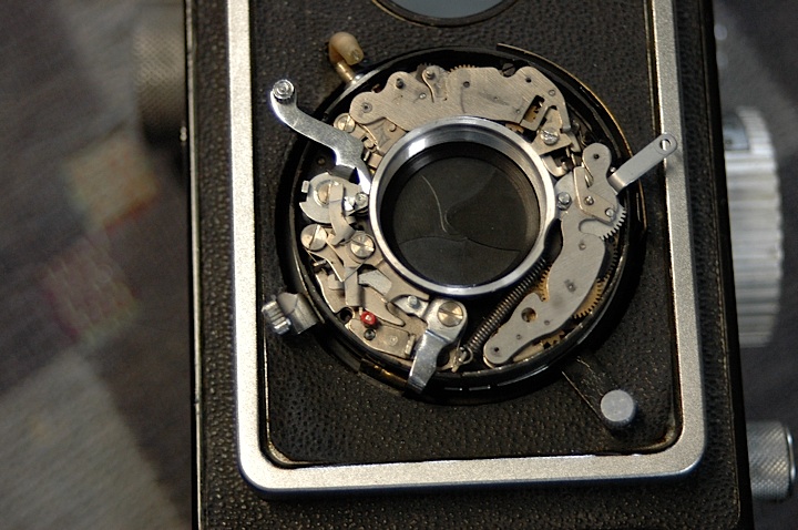 イコフレックス ZEISS IKON IKOFLEX 1a : In The Soup イコフレックス ZEISS IKON IKOFLEX 1a : In The Soup