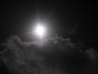 a0132369_22503711.jpg