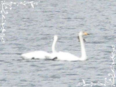 b0149071_826113.jpg