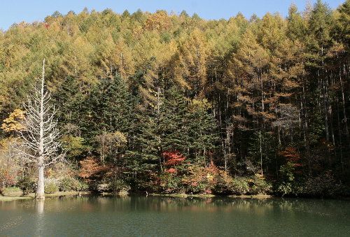 f0181173_2212884.jpg