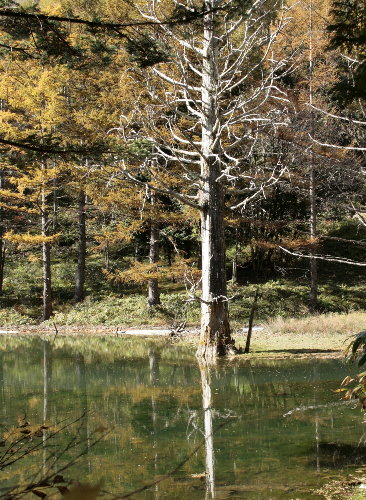 f0181173_2214370.jpg